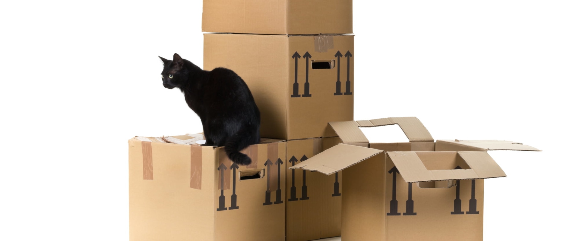 Licensed Movers in Chicago