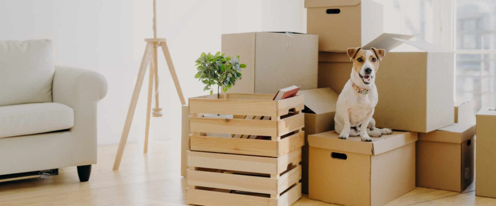 Moving and Storage Services: Everything You Need to Know
