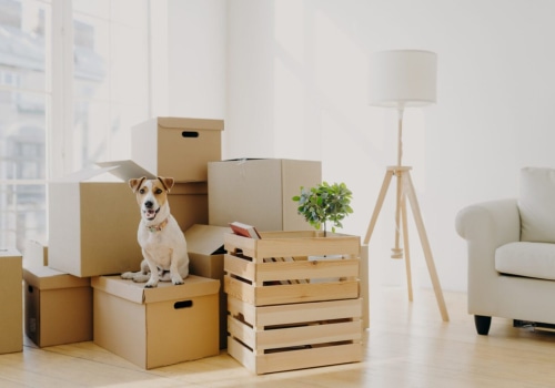 Moving and Storage Services: Everything You Need to Know